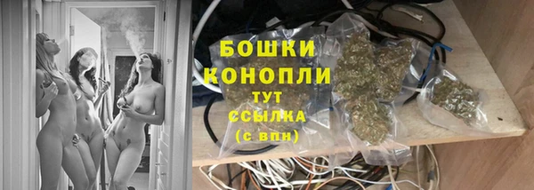 apvp Новозыбков