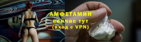 сатива Новодвинск