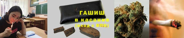 сатива Новодвинск