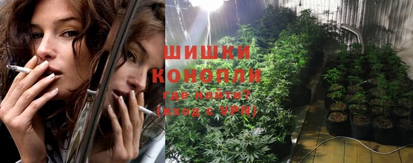 apvp Новозыбков