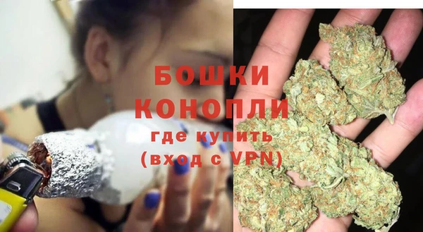apvp Новозыбков