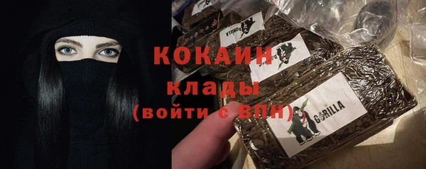 apvp Новозыбков