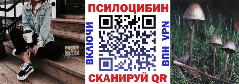 Галлюциногенные грибы Psilocybine cubensis  Тула 