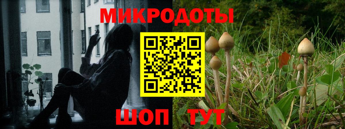 Галлюциногенные грибы Magic Shrooms Тула