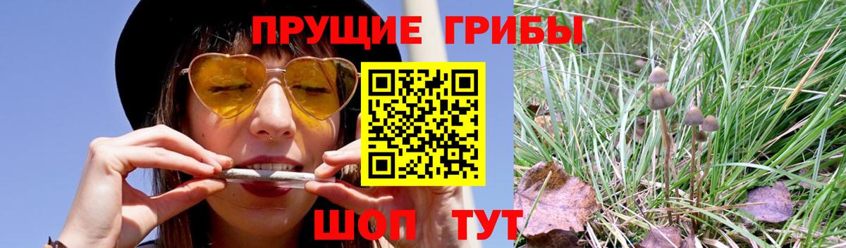 Тула  Псилоцибиновые грибы мухоморы  Вход с VPN 